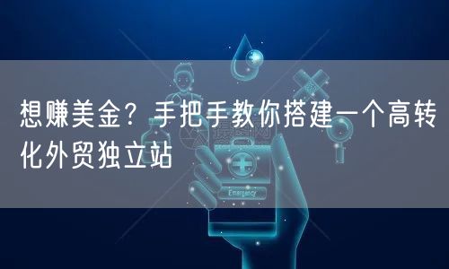 外贸独立站搭建指南:高转化网站教你赚美金(图1) 想赚美金?手把手教你搭建一个高转化外贸独立站