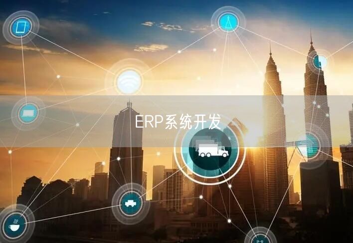 ERP系统开发