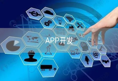 APP开发