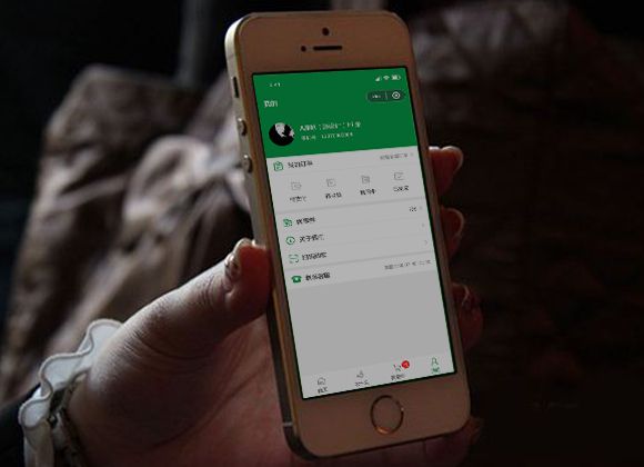 商城APP营销模块开发，助力实体企业线上转型(图1)